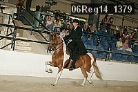 06reg14_1379 proof