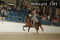 06reg14_1381 proof