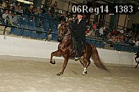 06reg14_1383 proof