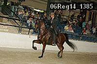 06reg14_1385 proof