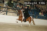 06reg14_1386 proof