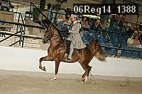 06reg14_1388 proof