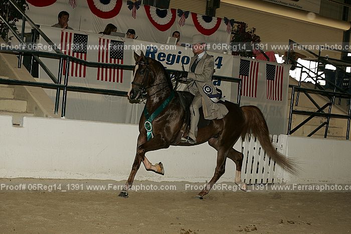Proof 06reg14_1391