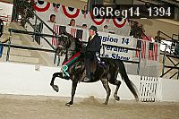 06reg14_1394 proof