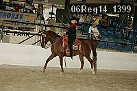 06reg14_1399 proof