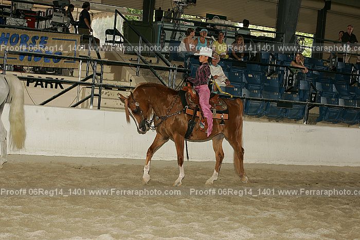 Proof 06reg14_1401