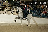 06reg14_1428 proof