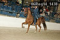 06reg14_1438 proof