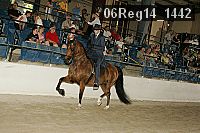 06reg14_1442 proof