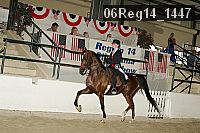 06reg14_1447 proof