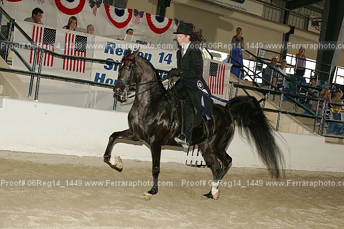 Proof 06reg14_1449
