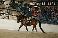 06reg14_1454 proof