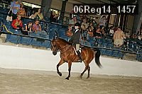 06reg14_1457 proof