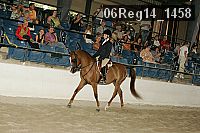 06reg14_1458 proof