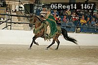 06reg14_1467 proof