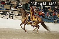 06reg14_1468 proof