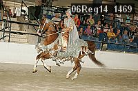 06reg14_1469 proof