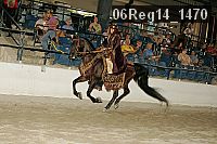 06reg14_1470 proof