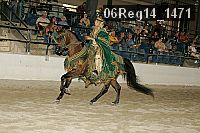 06reg14_1471 proof