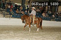 06reg14_1480 proof