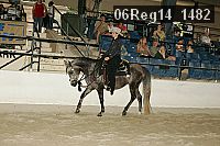 06reg14_1482 proof