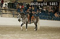 06reg14_1483 proof