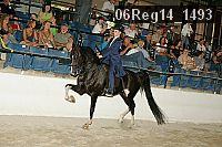 06reg14_1493 proof
