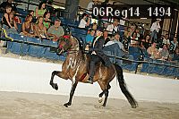 06reg14_1494 proof