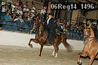 06reg14_1496 proof