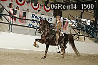 06reg14_1500 proof