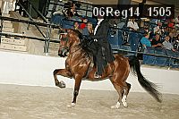 06reg14_1505 proof