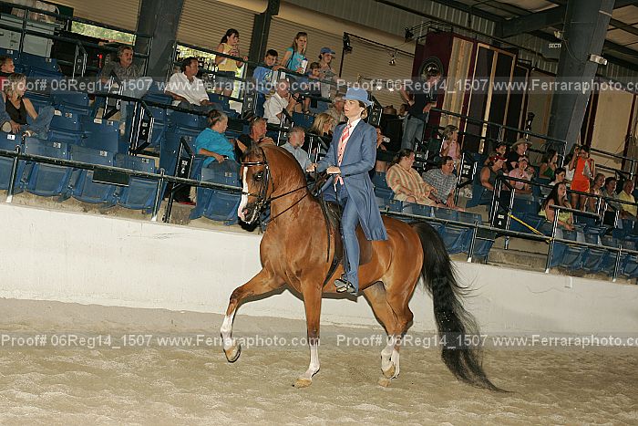 Proof 06reg14_1507