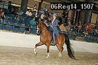 06reg14_1507 proof