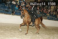06reg14_1508 proof