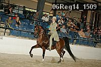 06reg14_1509 proof