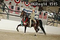 06reg14_1515 proof