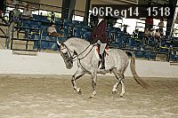 06reg14_1518 proof