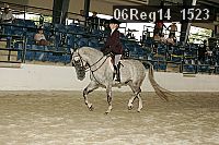06reg14_1523 proof