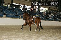 06reg14_1526 proof