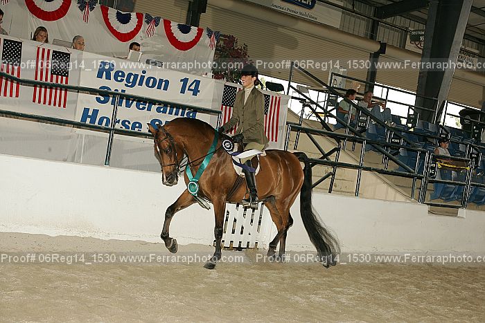 Proof 06reg14_1530