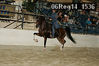 06reg14_1536 proof