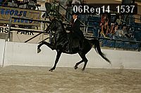 06reg14_1537 proof