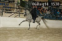 06reg14_1538 proof