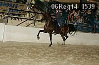 06reg14_1539 proof