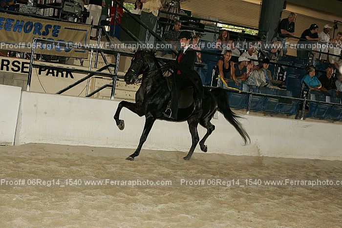 Proof 06reg14_1540