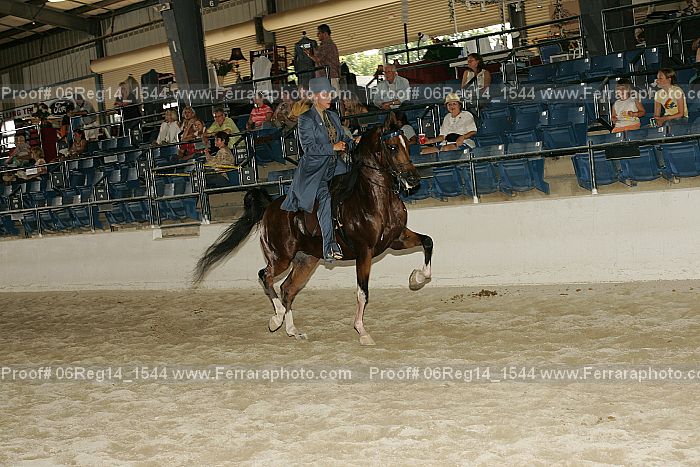 Proof 06reg14_1544