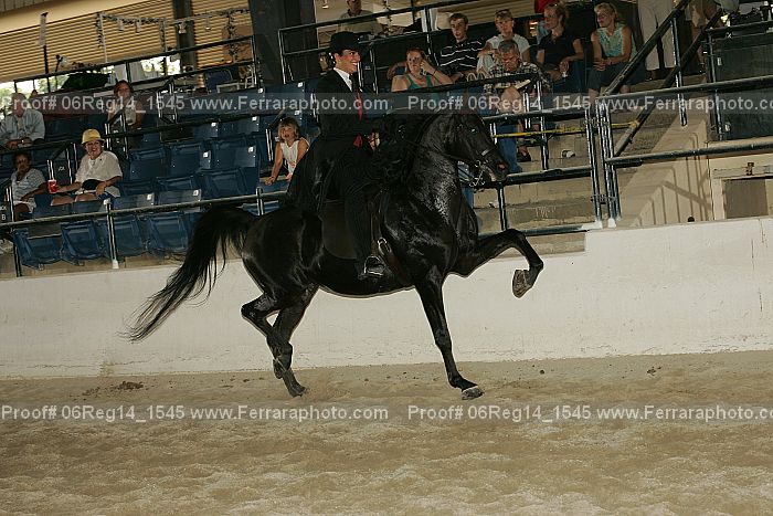 Proof 06reg14_1545