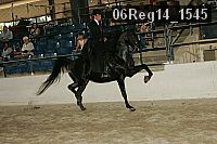 06reg14_1545 proof