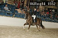 06reg14_1552 proof