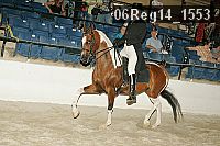 06reg14_1553 proof